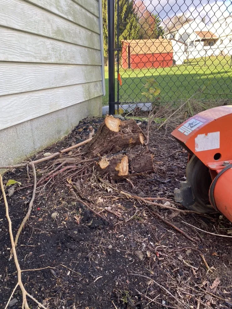 Expert yard maintenance experts serving Duncannon, PA - HCS Property Preservation