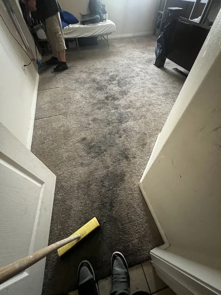 Professional landscape design in Victorville, CA by HD Cleaning Guys