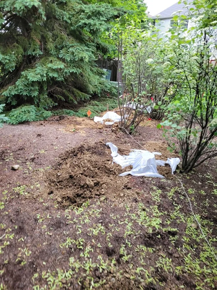 Expert landscape installation in Harvard, IL - H&D Contractors