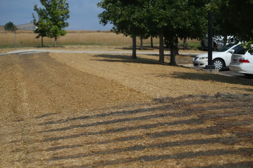 Top-rated landscape installation for outdoor upgrades across Denver, CO - HD Landscape