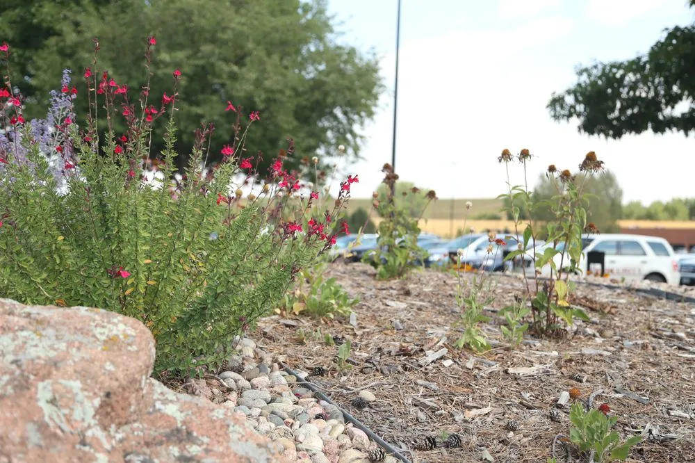 Top-rated yard maintenance for year-round maintenance in Denver, CO by HD Landscape