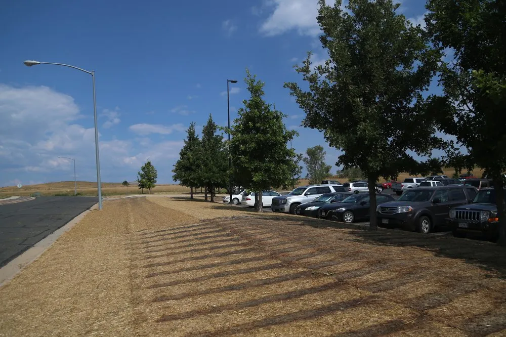 Custom yard cleanup service for residential properties in Denver, CO by HD Landscape