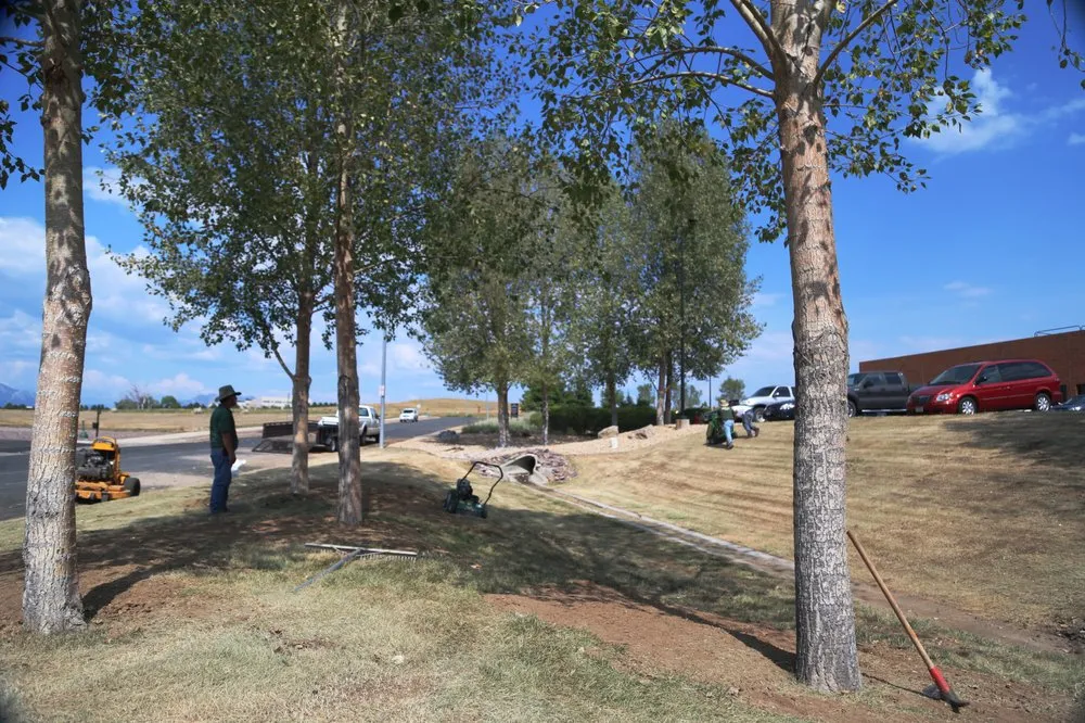 Expert landscape installation with custom design across Denver, CO - HD Landscape