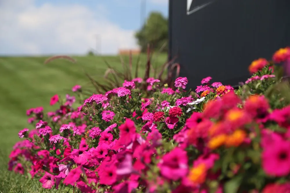 Reliable yard cleanup service for homes in Denver, CO by HD Landscape