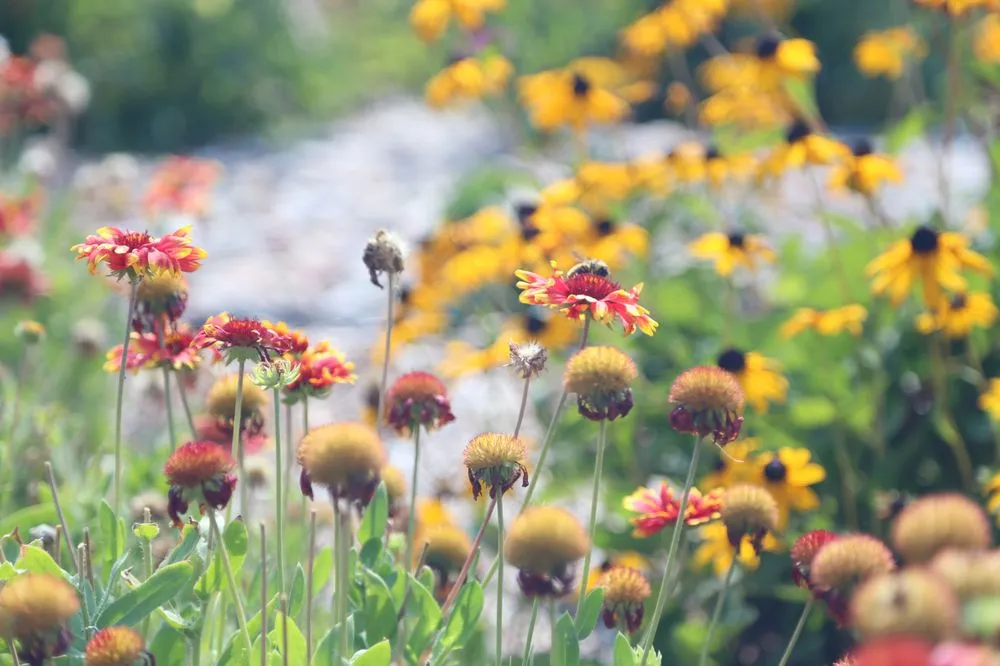 Top-rated garden landscaping in Denver, CO by HD Landscape