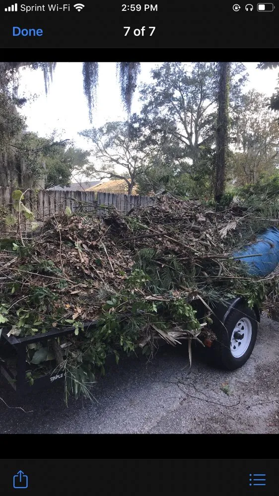 Custom lawn mowing service for residential properties across Tampa, FL - HD Landscaping - Tampa