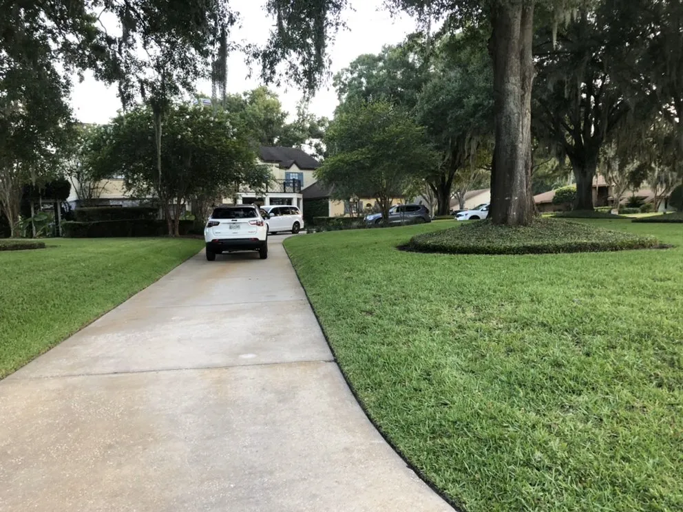 Expert lawn care service experts serving Tampa, FL - HD Landscaping - Tampa