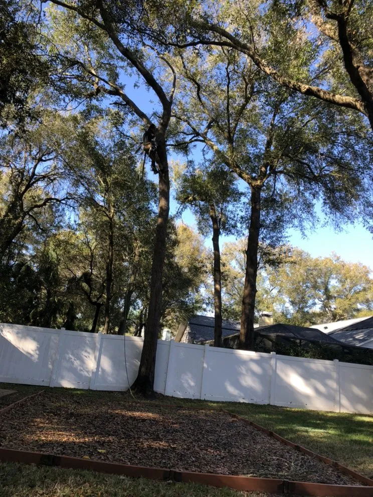 Trusted landscape installation for outdoor upgrades across Tampa, FL - HD Landscaping - Tampa