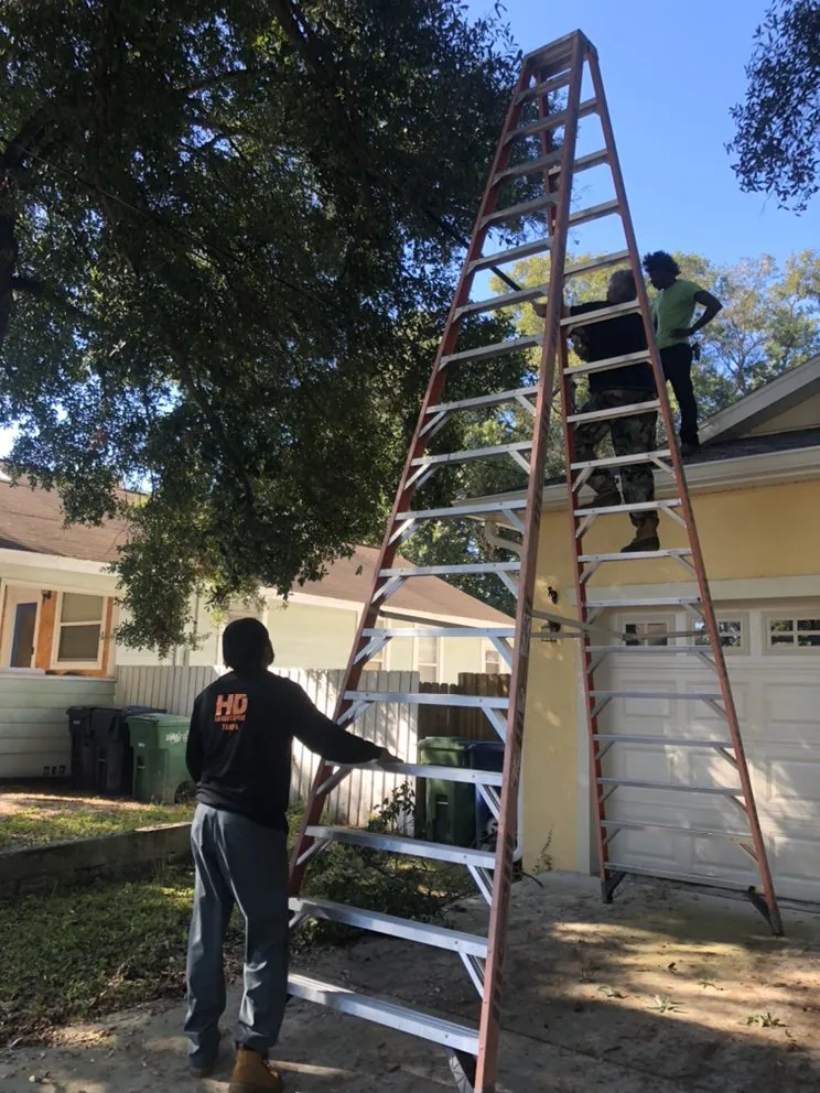 Reliable outdoor landscaping in Tampa, FL - HD Landscaping - Tampa