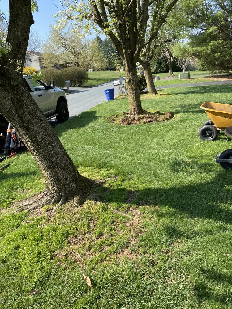 Reliable yard maintenance for residential properties in Bel Air, MD by HD Landscaping