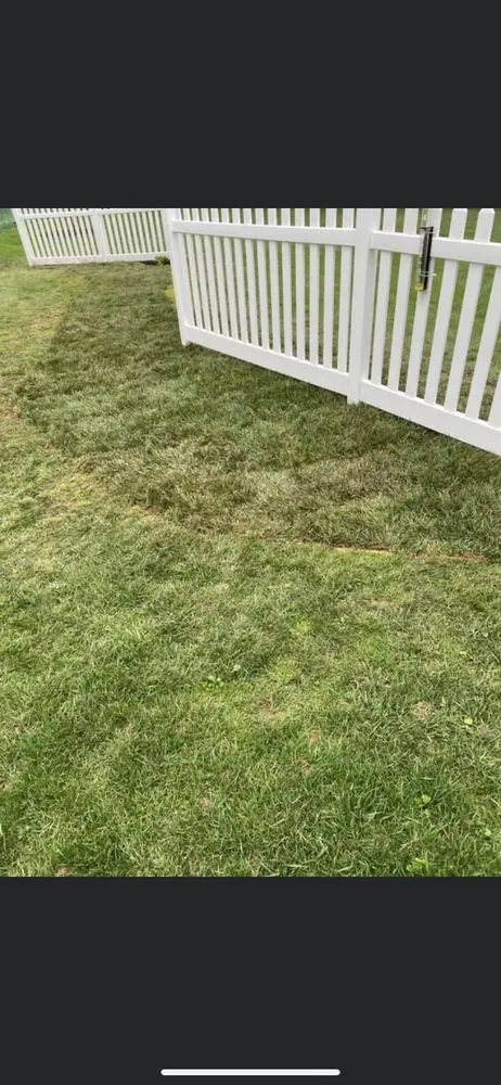 Expert yard maintenance near you across Bel Air, MD - HD Landscaping