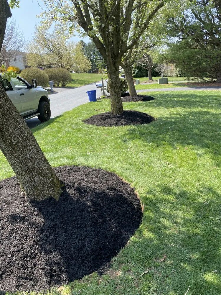 Affordable outdoor landscaping in Bel Air, MD - HD Landscaping