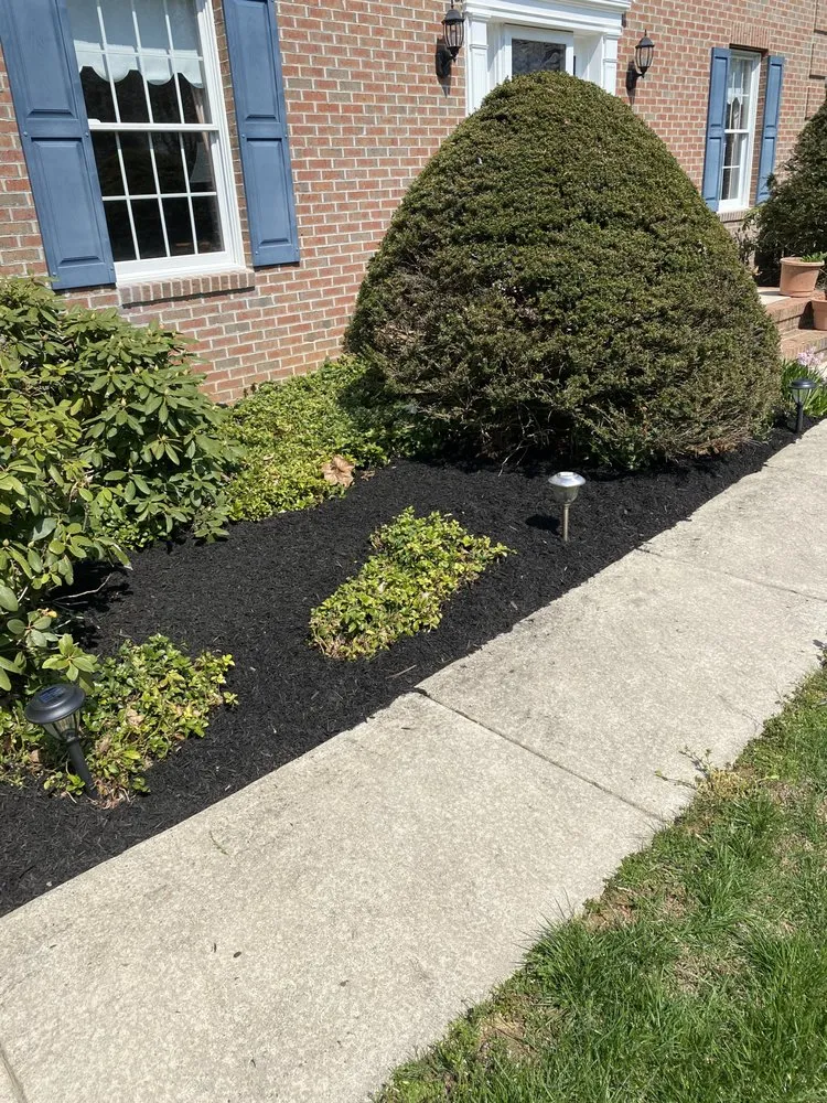 Expert residential landscaping for beautiful yards across Bel Air, MD - HD Landscaping