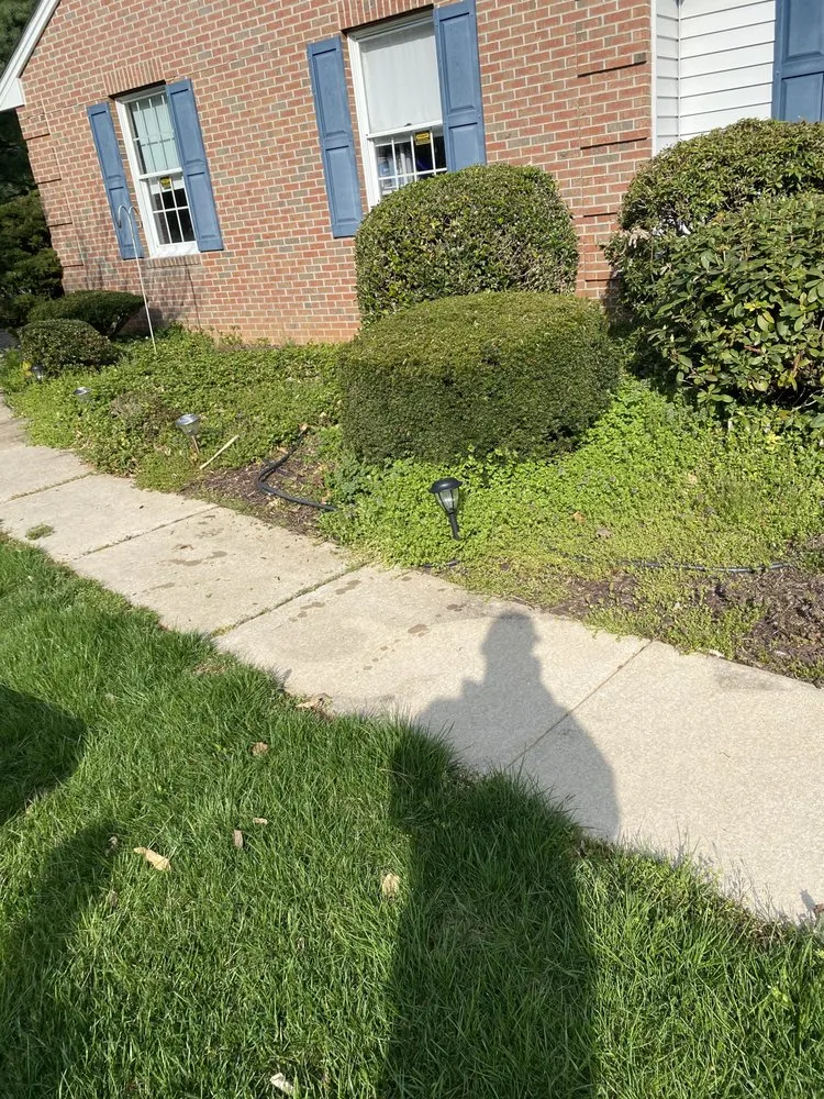 Local landscape installation in Bel Air, MD - HD Landscaping