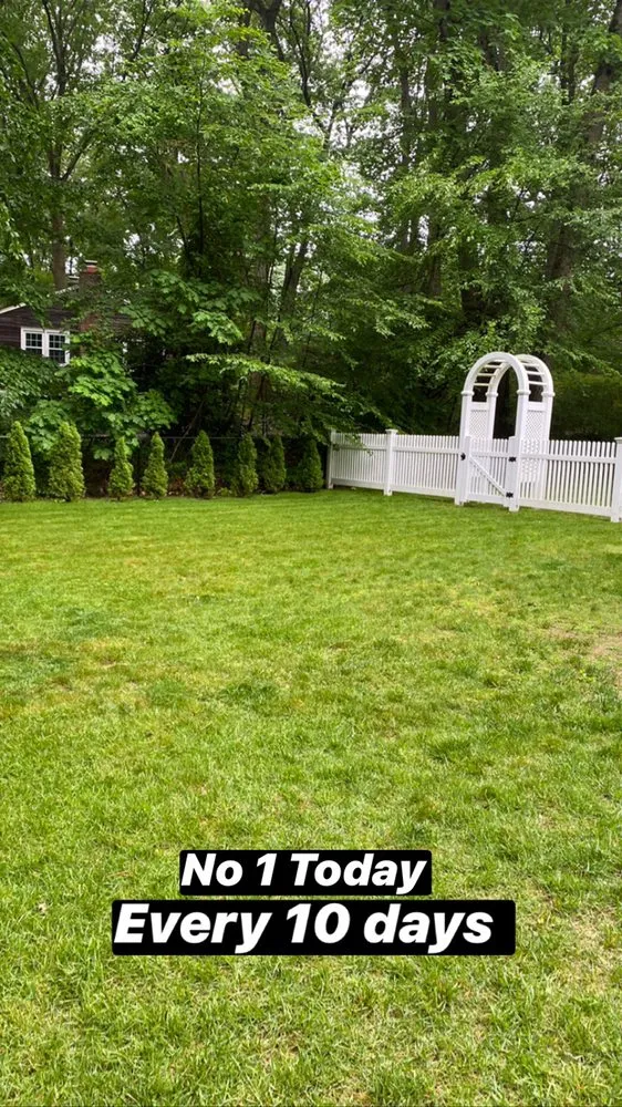 Trusted yard maintenance for residential properties in Bridgeport, CT by HD Landscaping