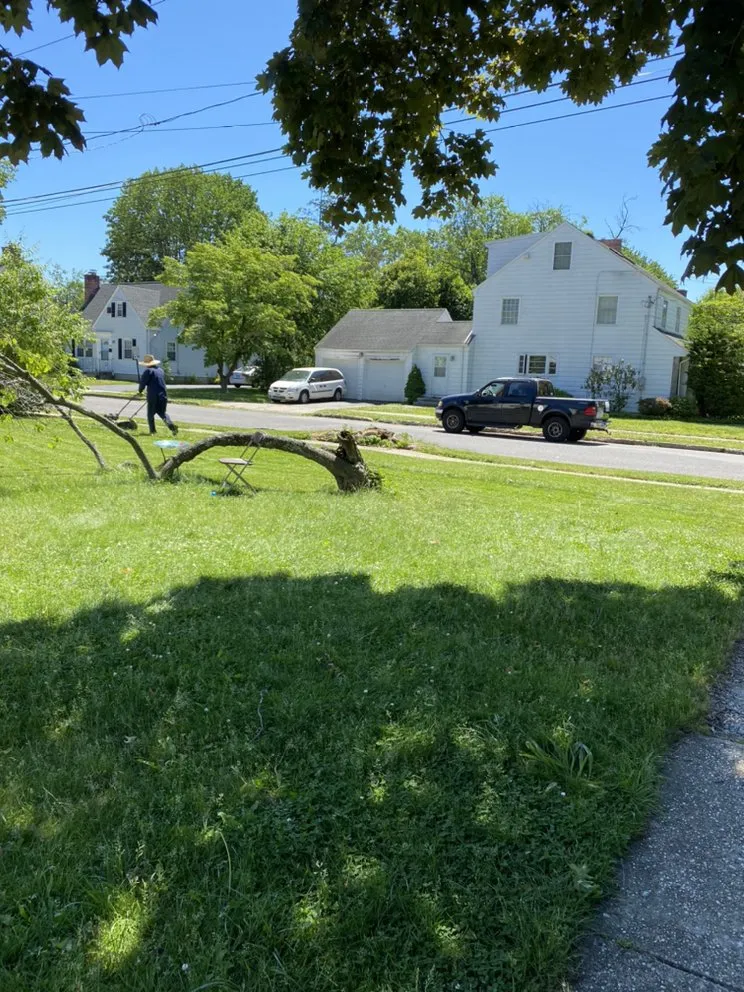 Trusted yard cleanup service in Bridgeport, CT by HD Landscaping