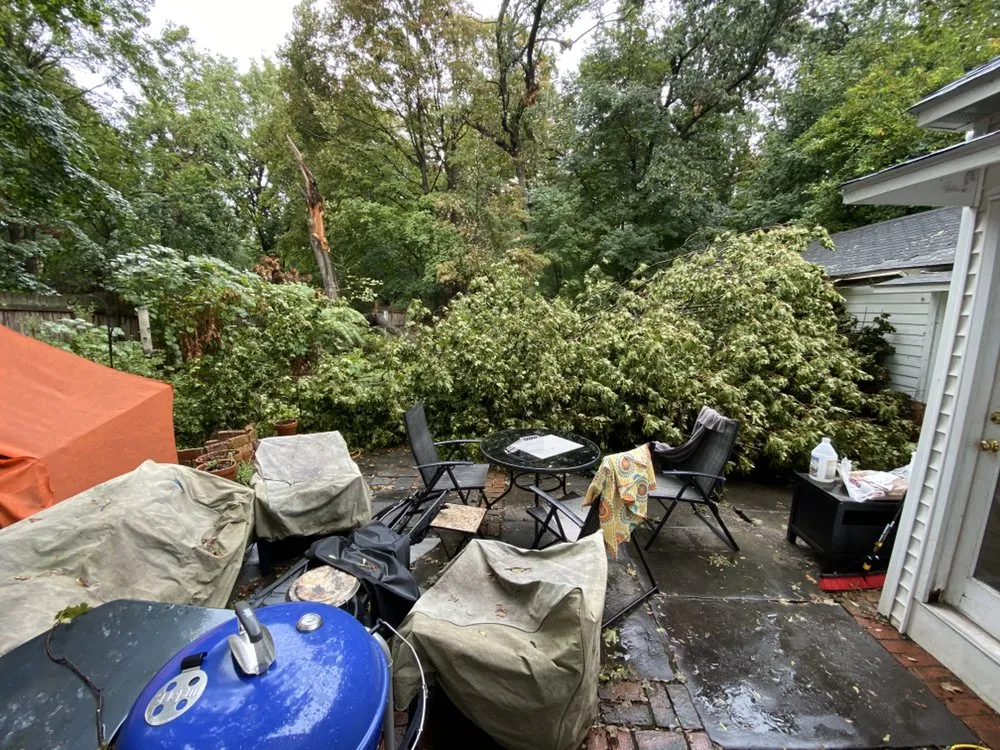 Trusted yard maintenance for year-round maintenance in Bridgeport, CT by HD Landscaping