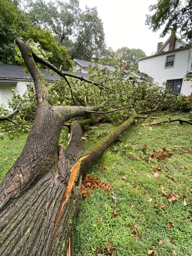 Trusted lawn care service in Bridgeport, CT - HD Landscaping