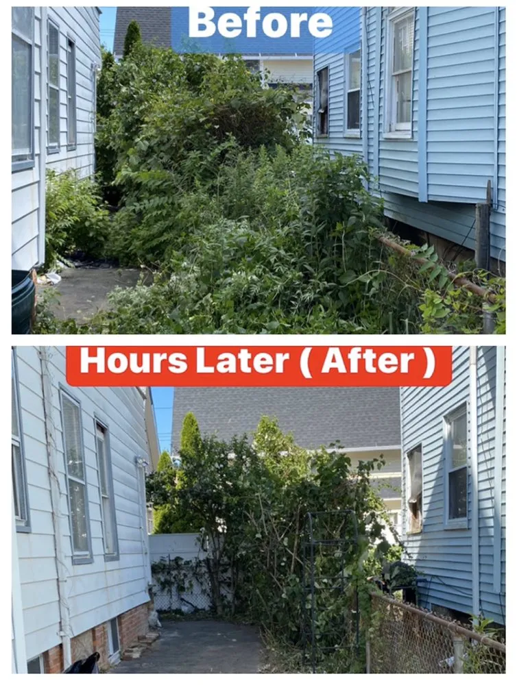 Affordable lawn care service for beautiful yards across Bridgeport, CT - HD Landscaping