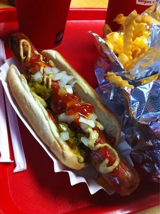 Professional landscape installation for year-round maintenance across Dallas, TX - HD Landscaping