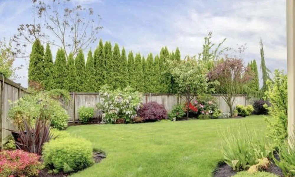 Reliable yard cleanup service experts serving Glen Ellyn, IL - HD Landscaping