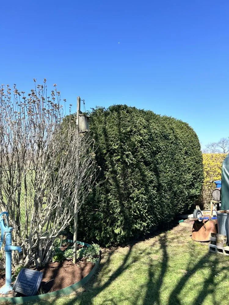 Trusted lawn care service experts serving Florence, NJ - H&D Landscaping LLC