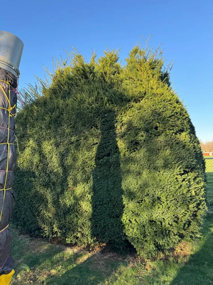 Reliable landscape design in Florence, NJ - H&D Landscaping LLC