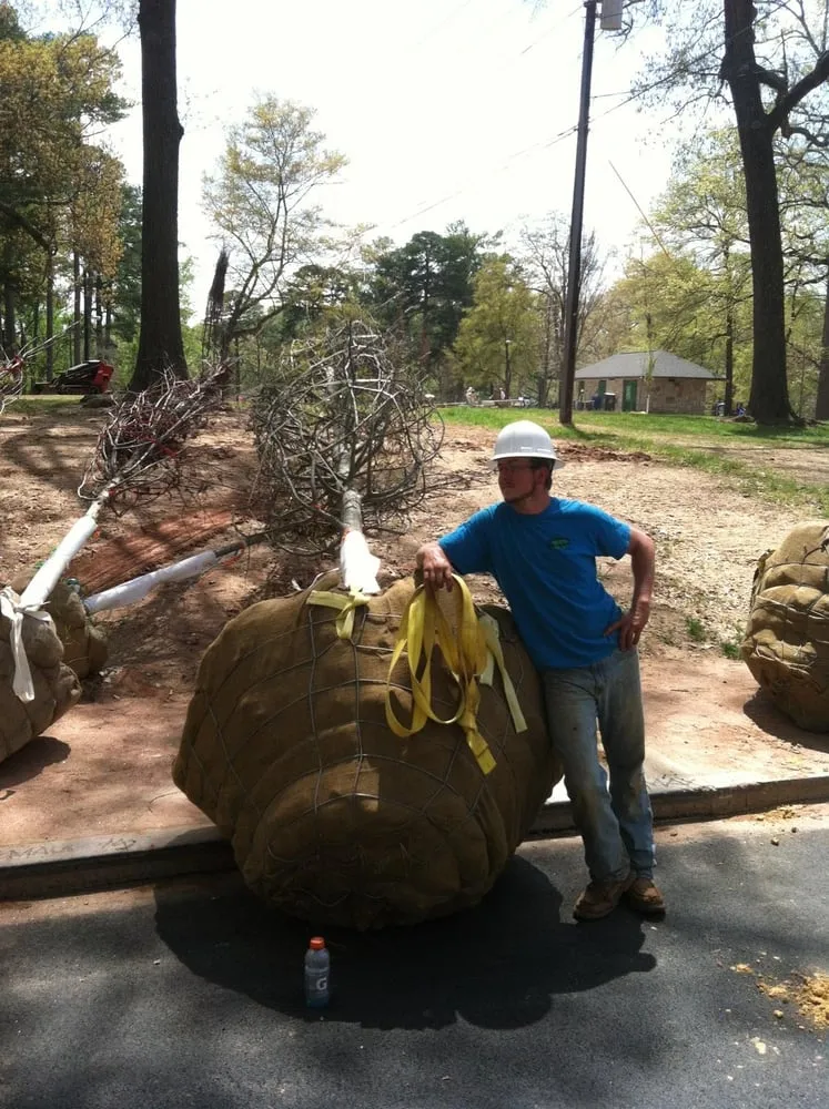 Custom landscape installation in Senoia, GA by HD Landscaping