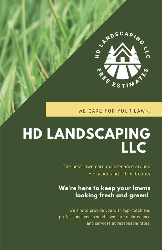 Affordable yard cleanup service in Spring Hill, FL - HD Landscaping
