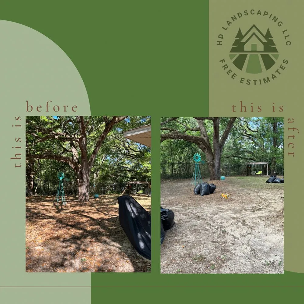 Expert lawn care service in Spring Hill, FL - HD Landscaping