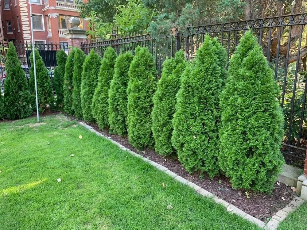 Local yard maintenance experts serving Streamwood, IL - HD Landscaping