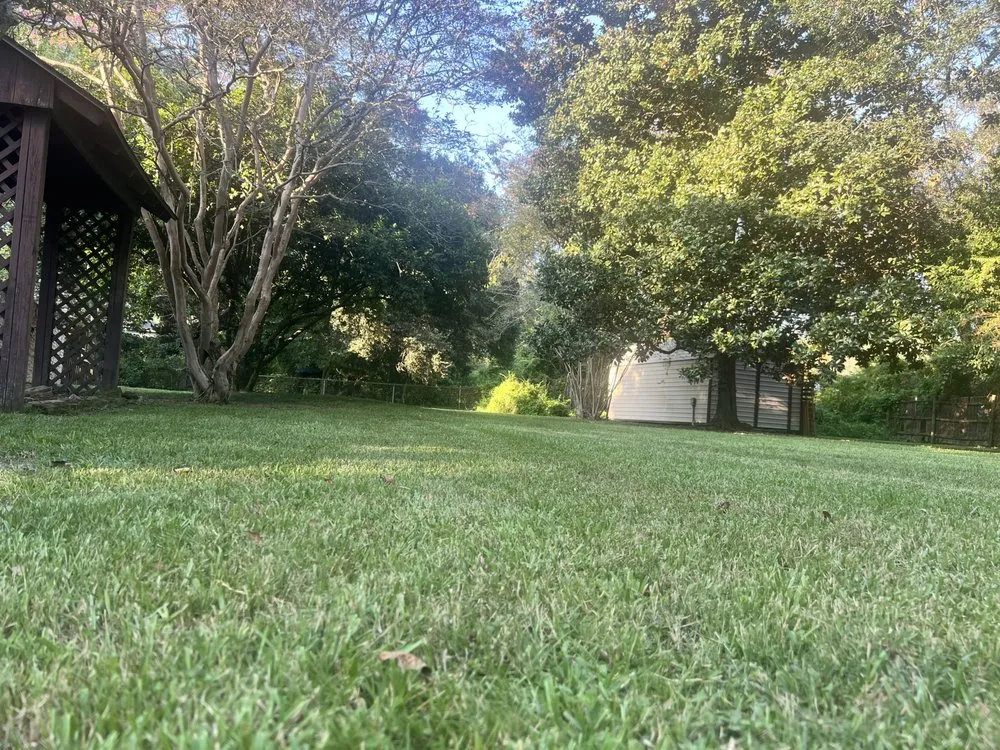 Trusted lawn care service in Baton Rouge, LA by HD Lawn and Landscape