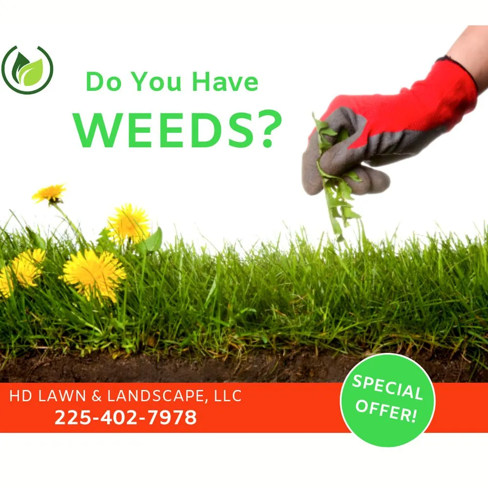 Local lawn mowing service with custom design in Baton Rouge, LA by HD Lawn and Landscape