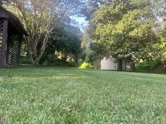 HD Lawn and Landscape Logo