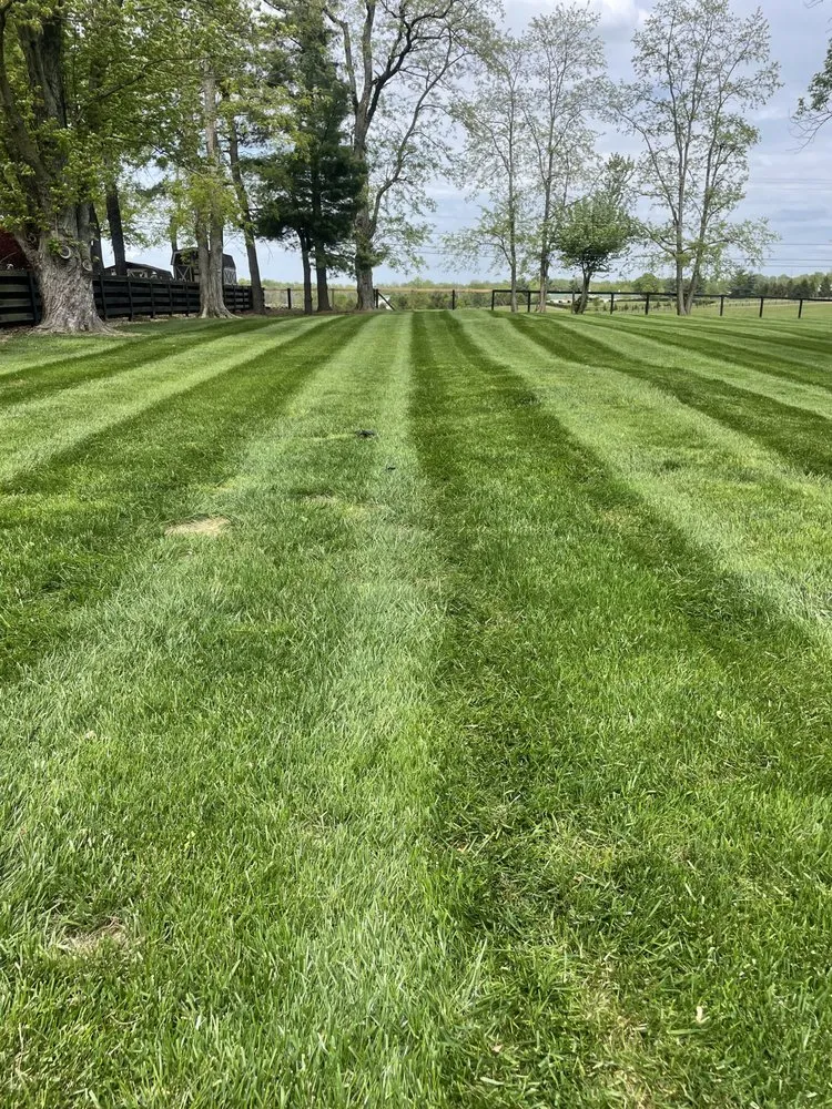 Local yard maintenance in Georgetown, KY by HD Lawn Care and More