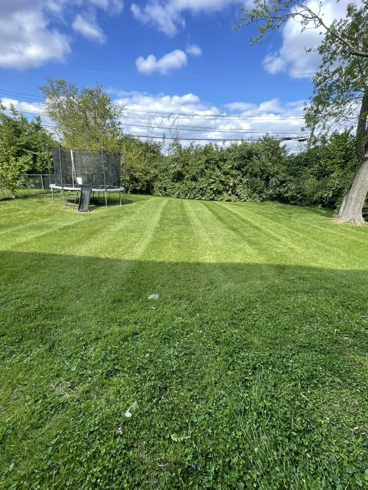 Custom yard cleanup service for residential properties across Georgetown, KY - HD Lawn Care and More