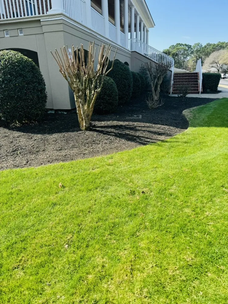 Expert lawn care service in Conway, SC by HD Lawn Care