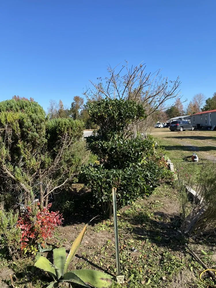 Reliable landscape design experts serving Conway, SC - HD Lawn Care