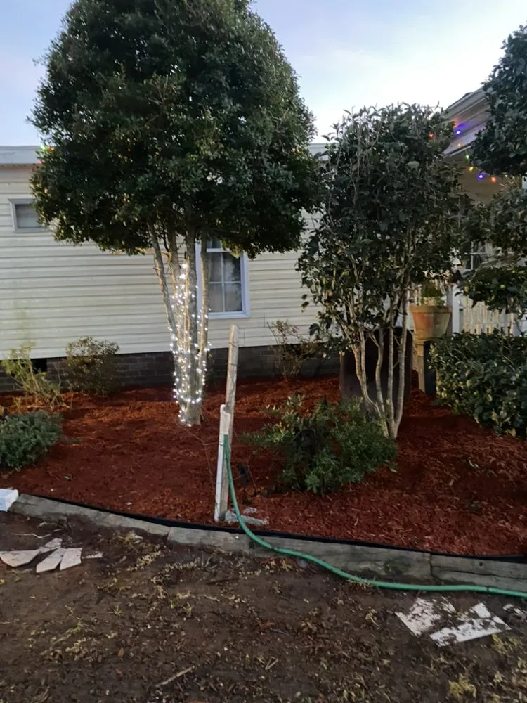 Professional lawn mowing service for residential properties across Conway, SC - HD Lawn Care