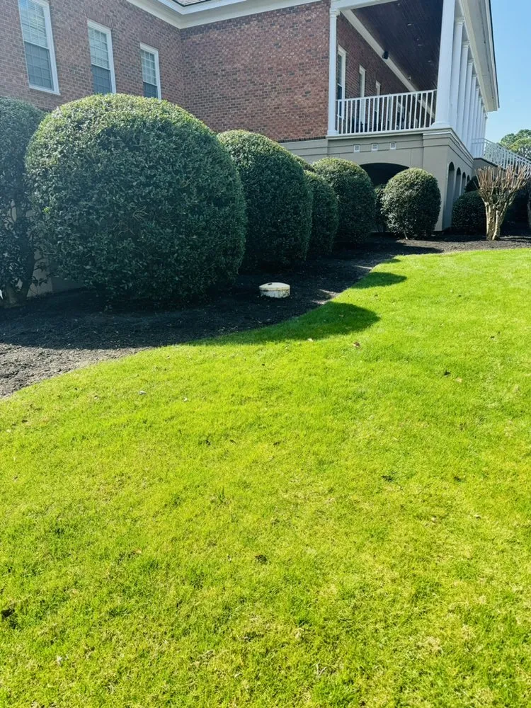 Local outdoor landscaping in Conway, SC by HD Lawn Care