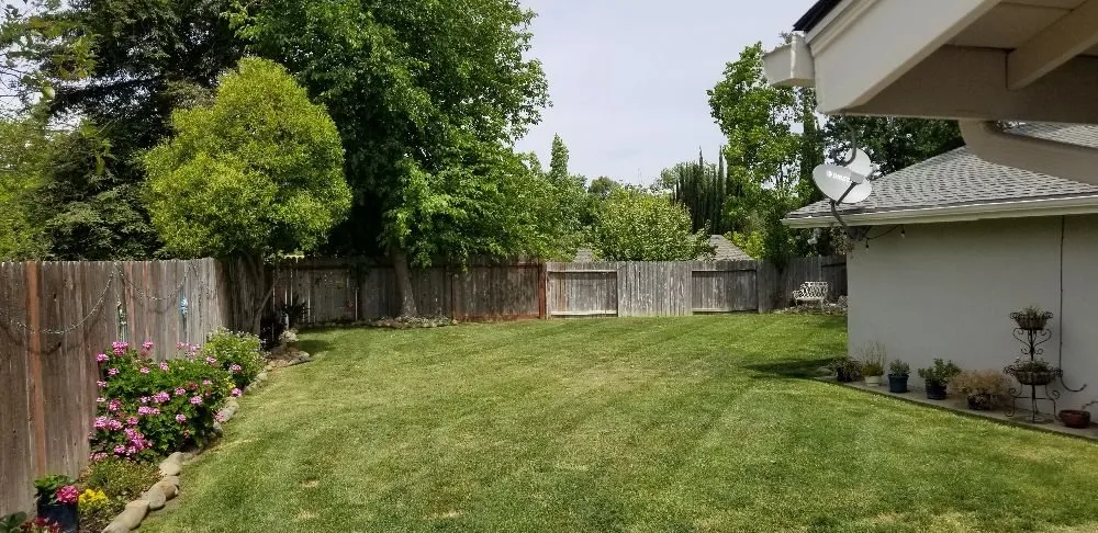 Trusted lawn care service in Citrus Heights, CA by HD Lawn Care Sprinkler Repair