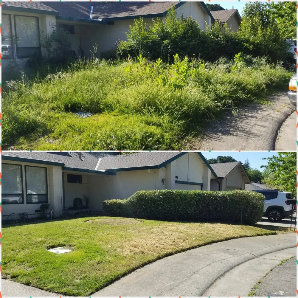 Affordable landscape installation experts serving Citrus Heights, CA - HD Lawn Care Sprinkler Repair