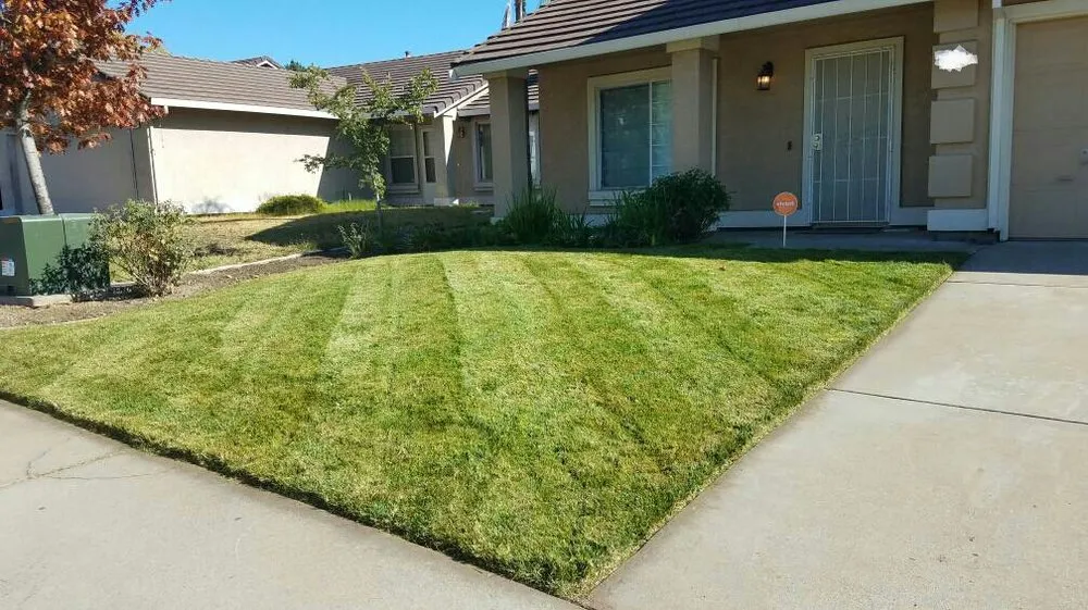 Trusted landscaping services experts serving Citrus Heights, CA - HD Lawn Care Sprinkler Repair