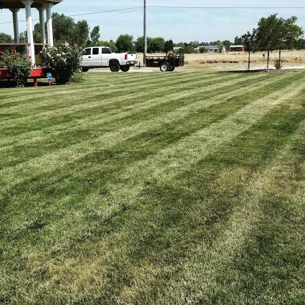 Custom landscape installation near you in Citrus Heights, CA by HD Lawn Care Sprinkler Repair