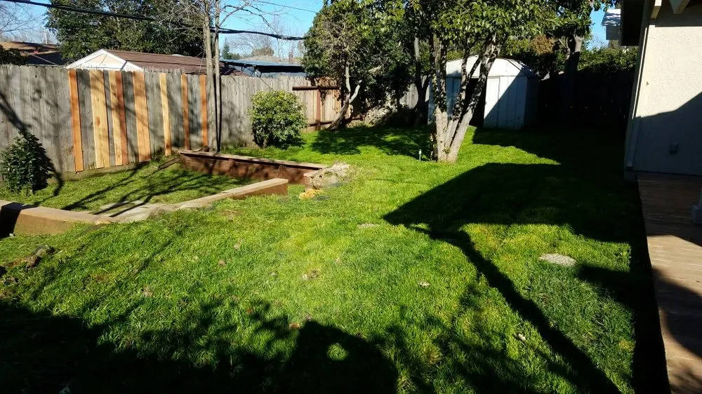 Trusted landscape installation in Citrus Heights, CA by HD Lawn Care Sprinkler Repair