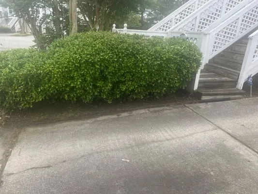 H&D Lawncare Services Logo