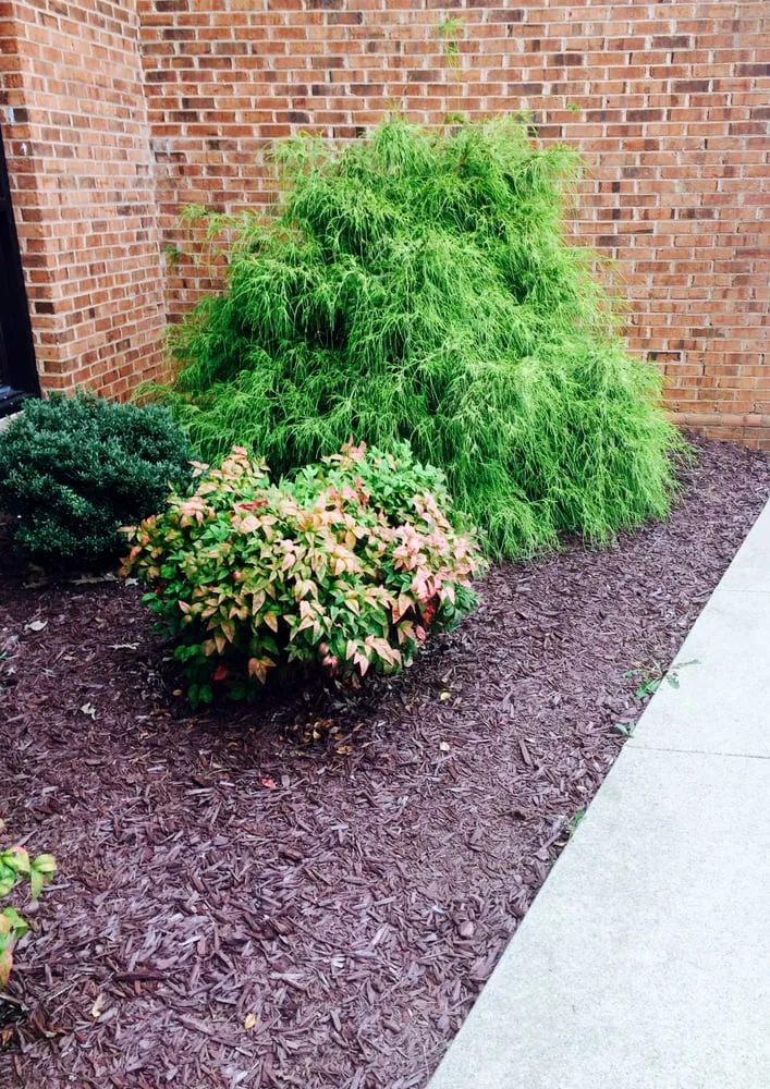 Custom landscape design in Prospect Hill, NC - H&D Nursery & Landscaping