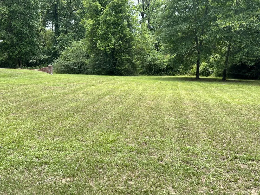 Professional outdoor landscaping in Hodge, LA by HD Property Maintenance