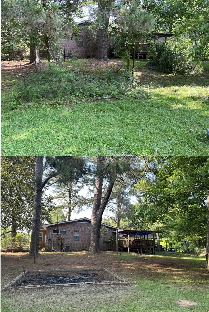 Expert lawn care service for beautiful yards across Hodge, LA - HD Property Maintenance