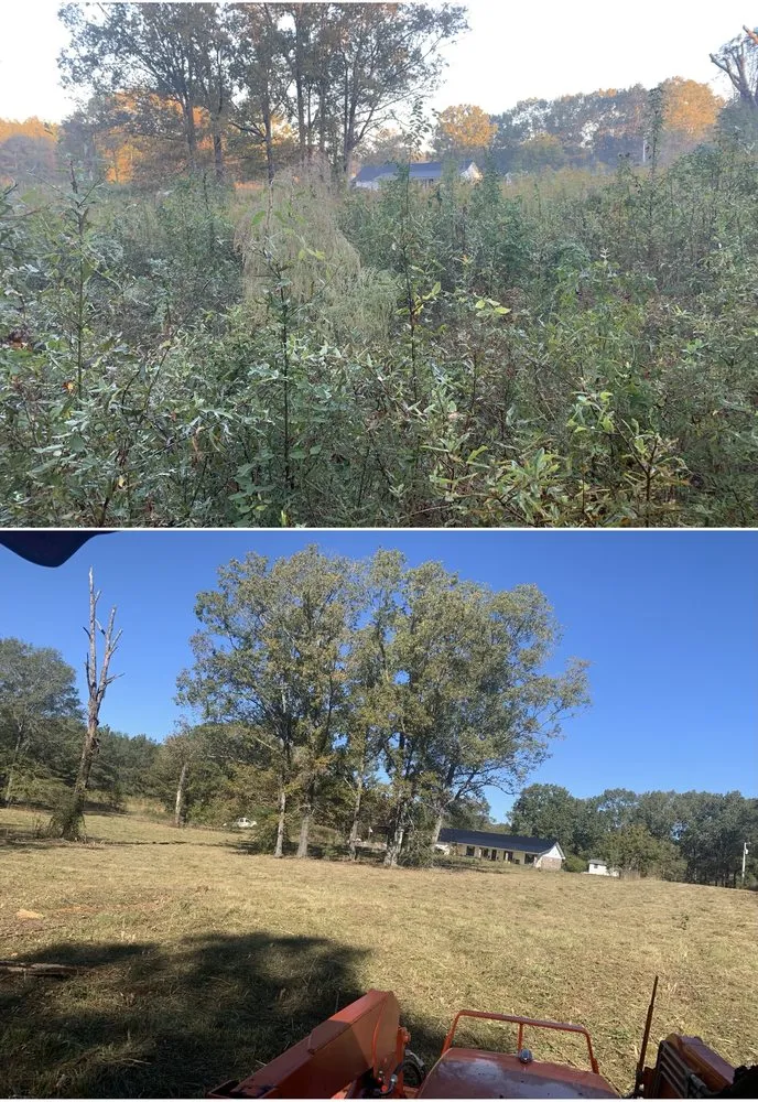 Local yard cleanup service experts serving Hodge, LA - HD Property Maintenance